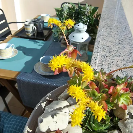 公寓 Cozy Retreat With Parking, Balconies & Garden Fireplace Pakoštane